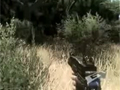 �µ�����2 ʱ����������