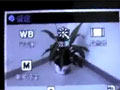 三星D988拍照功能视频