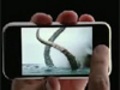 iphone���Ƭ2