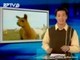 RPTV������������Ĵ�����֮һ����������