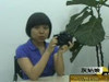 �῵D90��Ƶ����