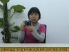 ��ʿS2600HD��Ƶ����