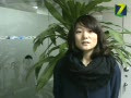 超机访问13——诺基亚塞班3C7你如何看?