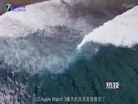 终于摆脱iPhone了 Apple Watch3快评